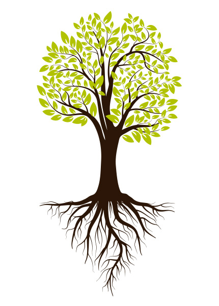 An illustration of a tree and roots