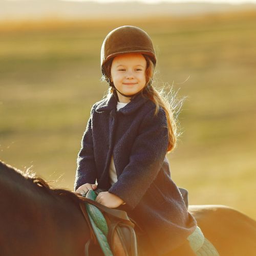 The Healing Power of Horses in Equine Therapy